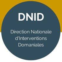 La gestion des successions vacantes par Le Domaine : interview d’Alain CAUMEIL, Directeur de la DNID