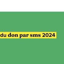 Baromètre du Don par SMS 2024 – AF2M x France générosités